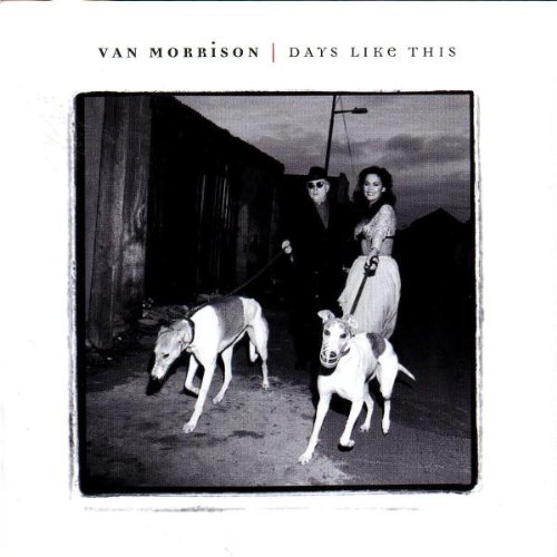 Cover of Days Like This by Van Morrison