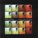 Cover of Little Black Numbers by Kathryn Williams