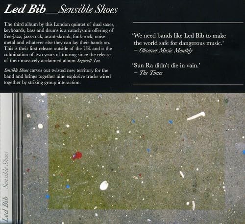 Cover of Sensible Shoes by Led Bib