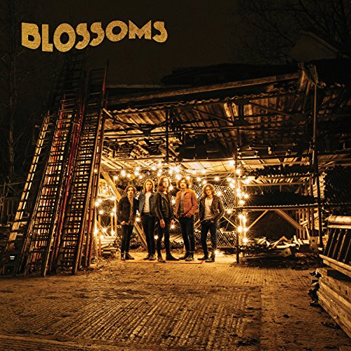Cover of Blossoms by Blossoms