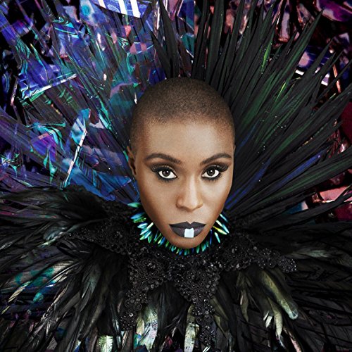 Cover of The Dreaming Room by Laura Mvula