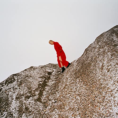 Cover of Reward by Cate Le Bon