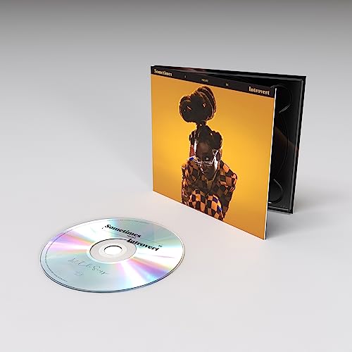 Cover of Sometimes I Might Be Introvert by Little Simz